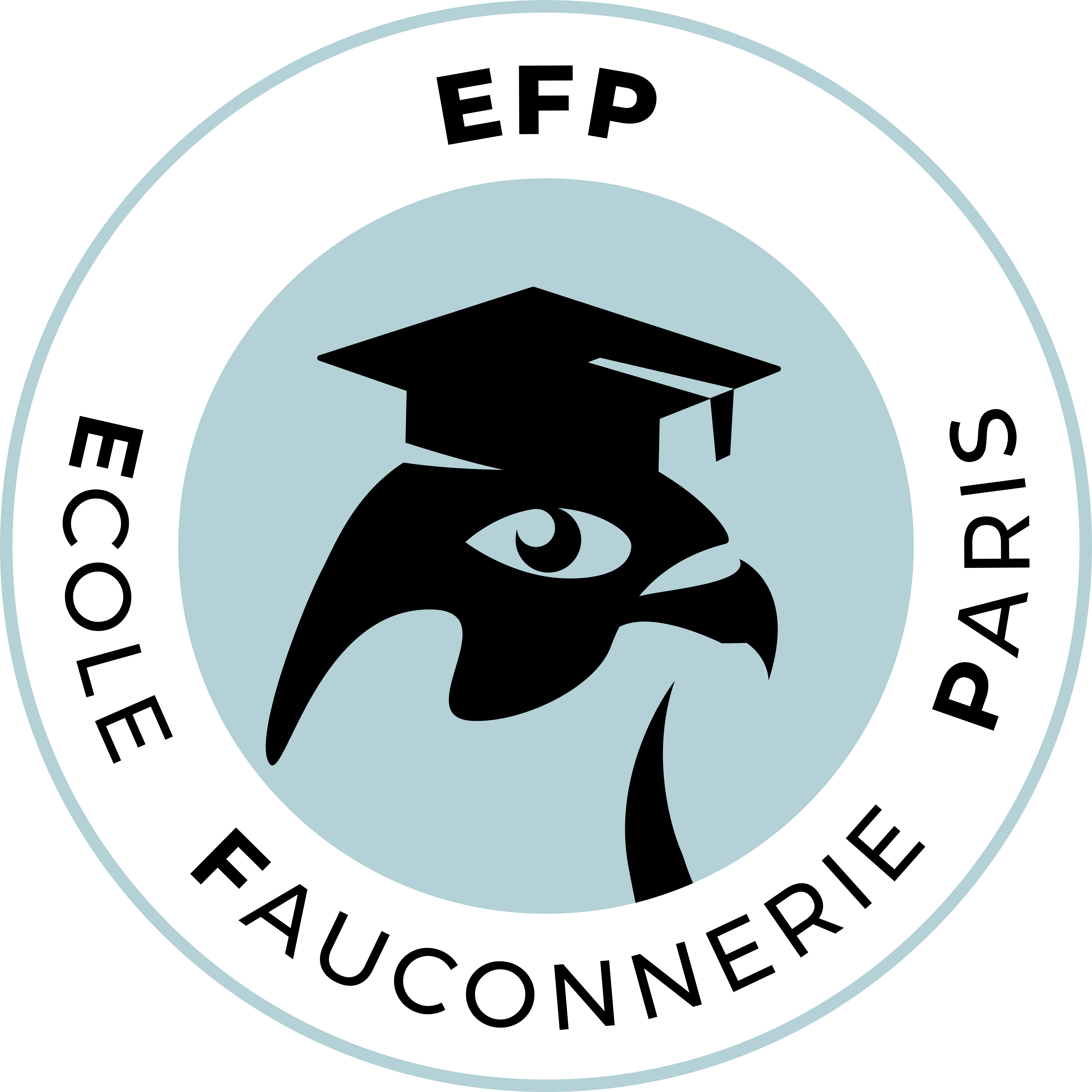 Logo faucon-01