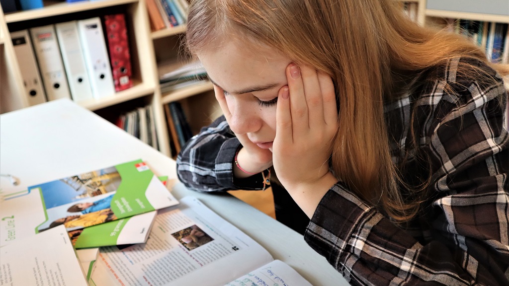 nohellef,cours,appui,soutien,scolaire,pas, non,motive,net,motiveiert,grondschoul,ecole,fondamentale,lycee,schoul,doheem,a,domicile,hausaufgaben,devoir,eleve,schüler,envie,keng,loscht