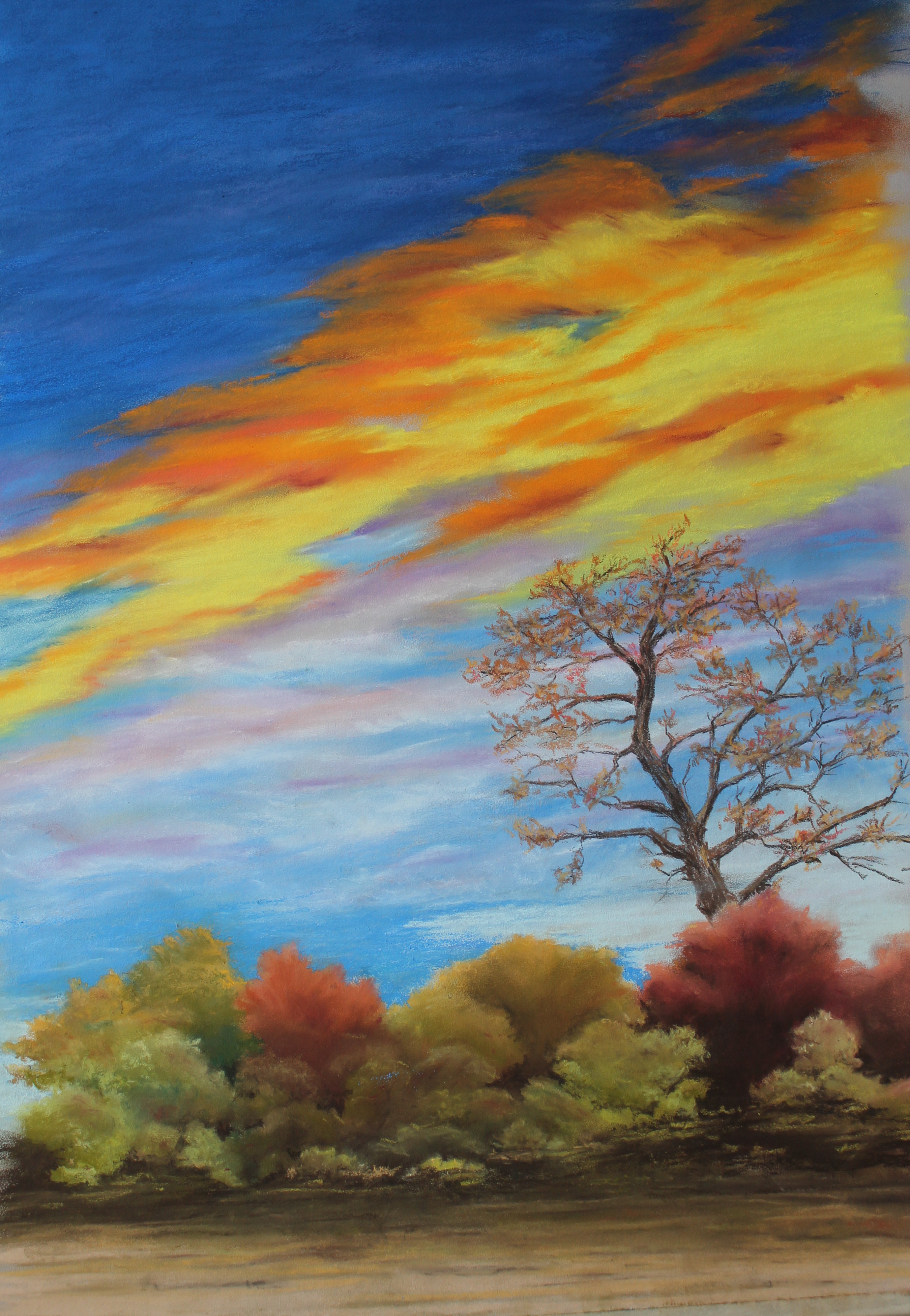 Daniel-goda-nil-2014-pastel-copie-josette-schoonjans