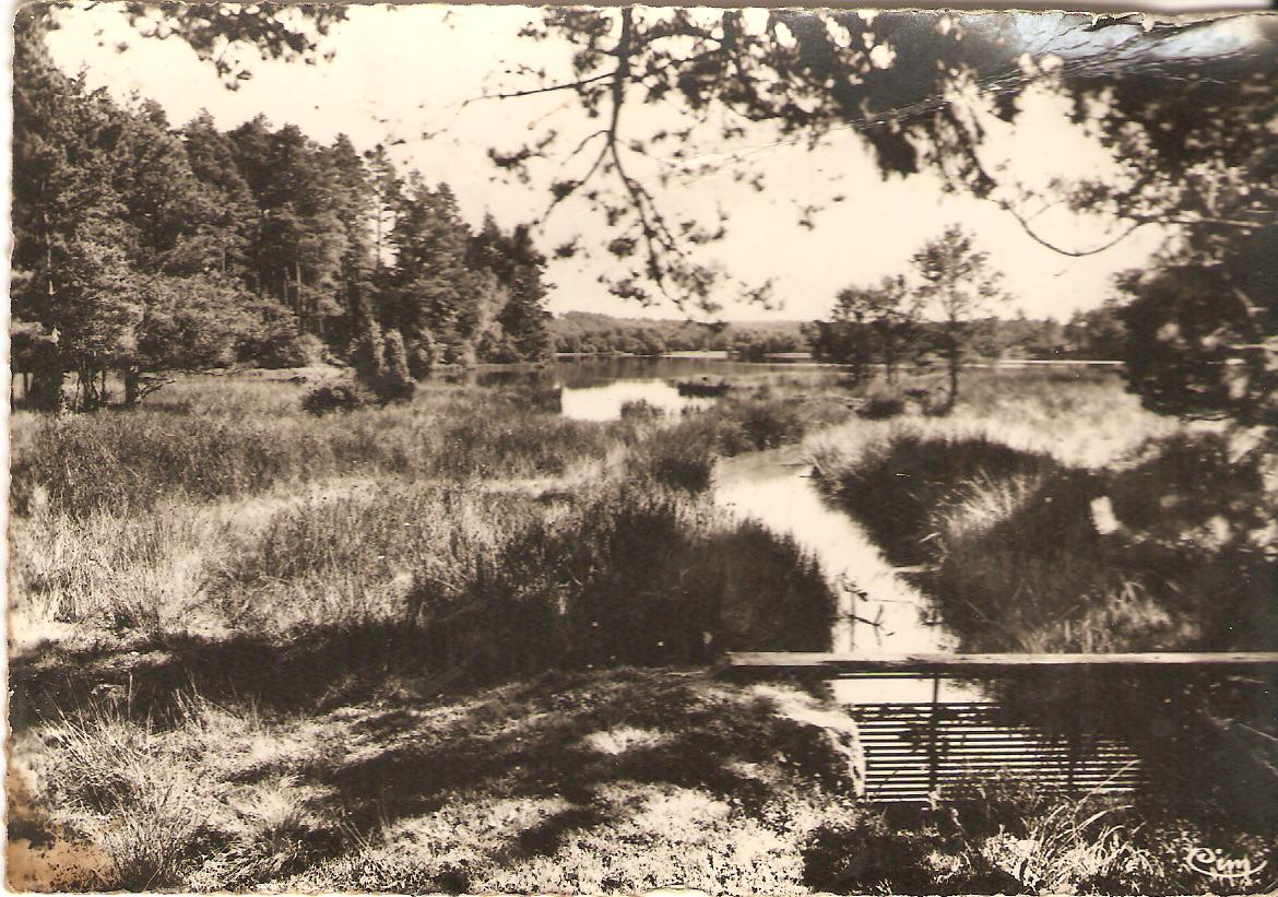 Carte postales tyx 2