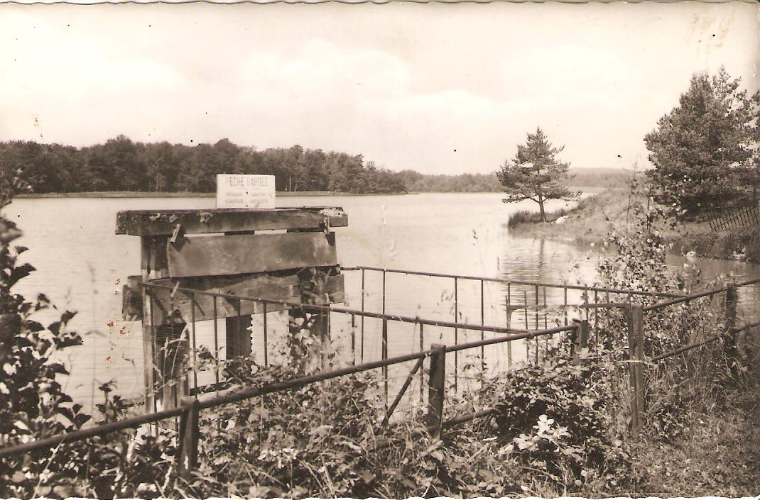Carte postales tyx 1