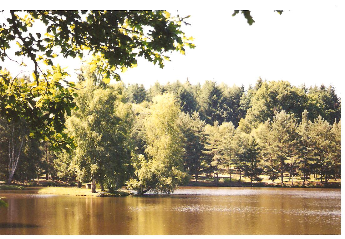 Etang jj laporte