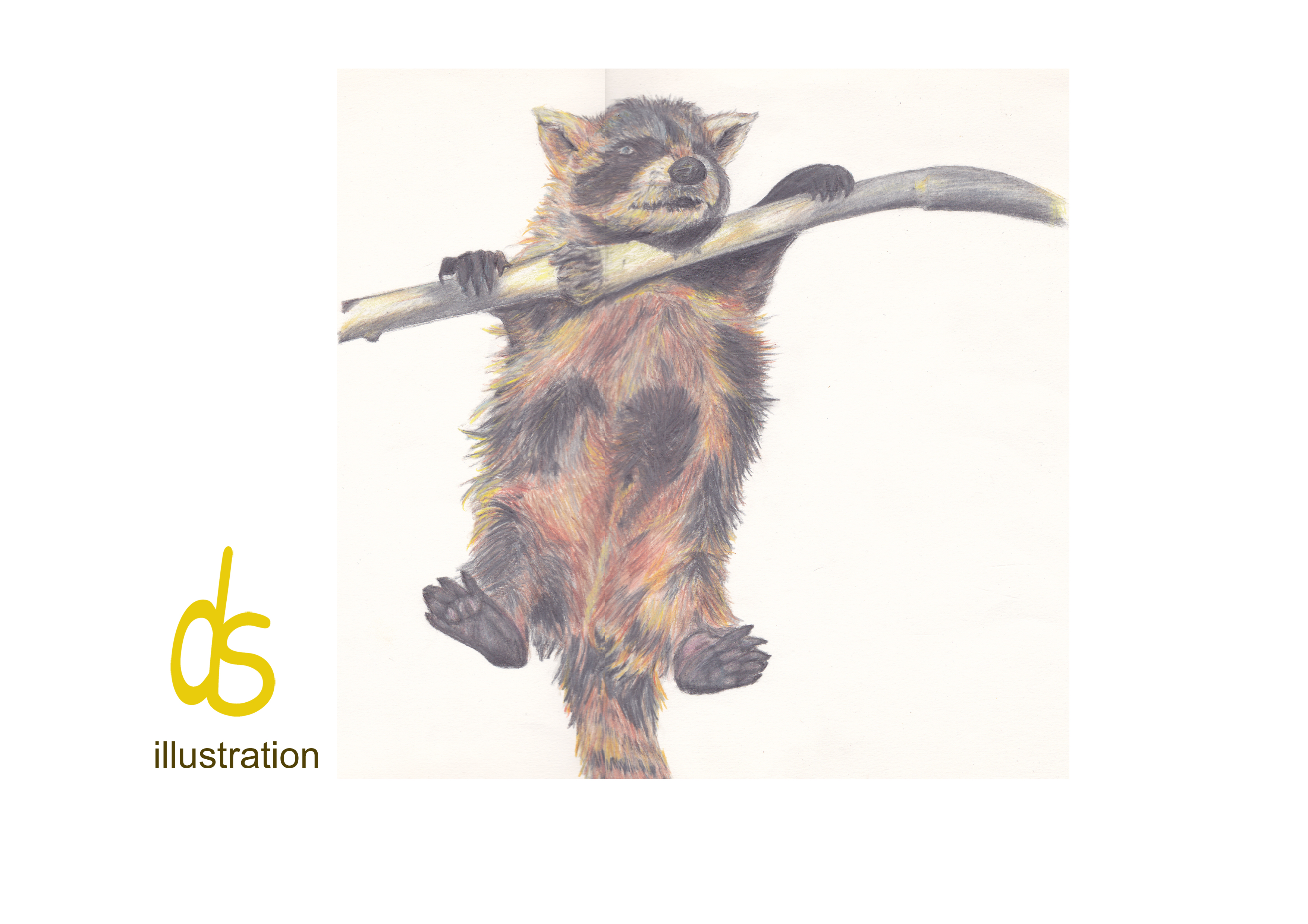 Graphime animal copie