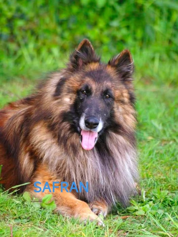 Safran