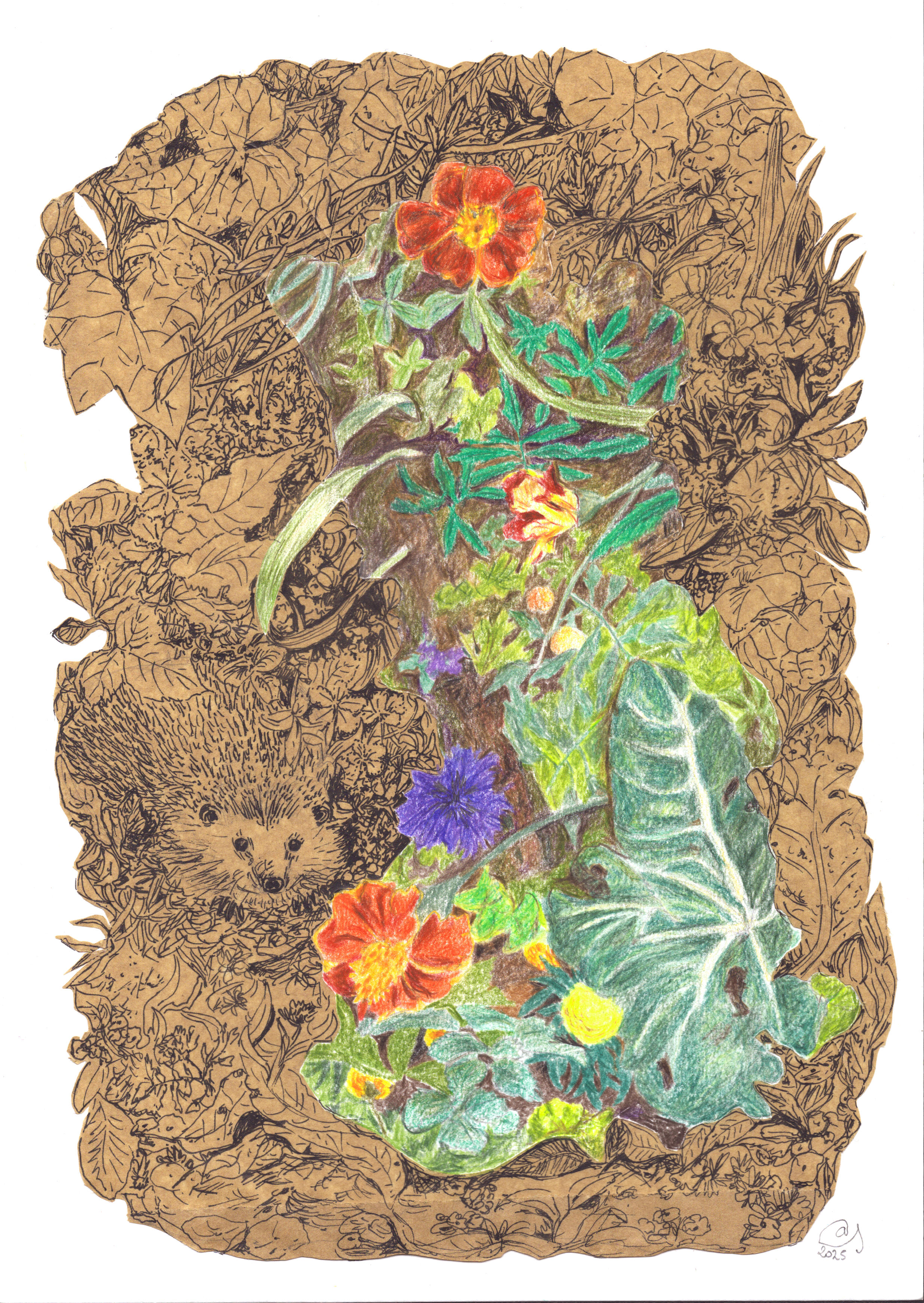 Des fleurs et des blettes