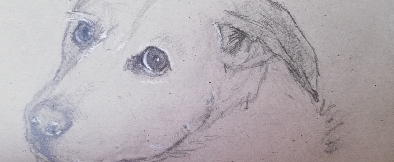 Nala-dessin-19x26-5cm