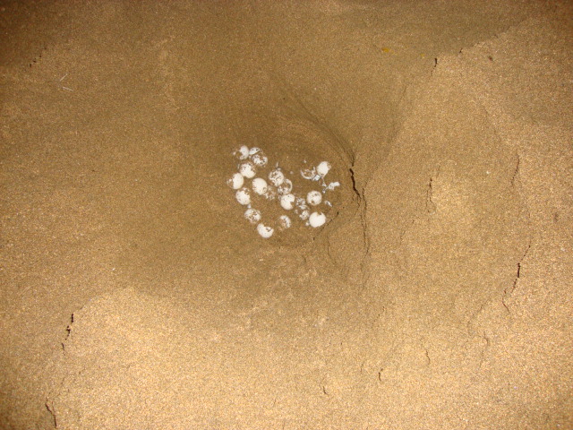 Dsc03207
