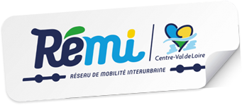 Logo-remi