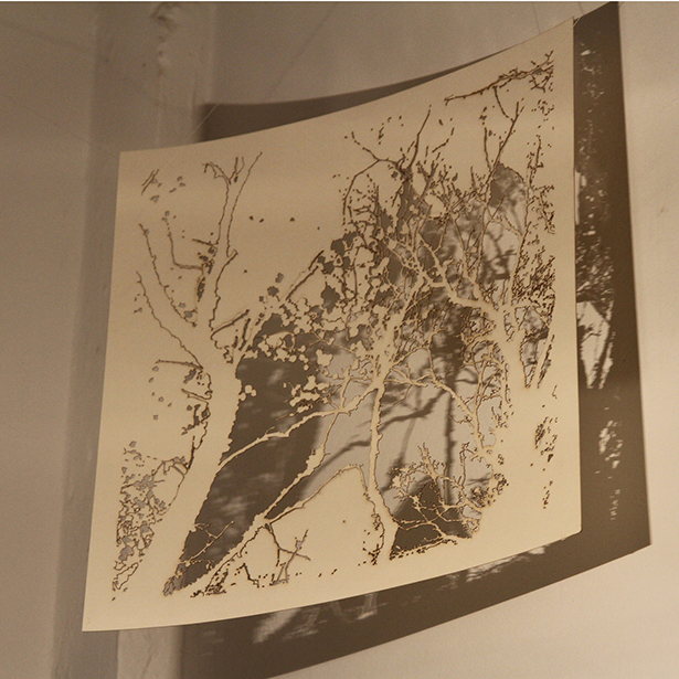 06 branching instal 3