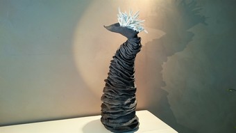 L'anémone spiralée