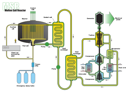 Molten Salt Reactor svg