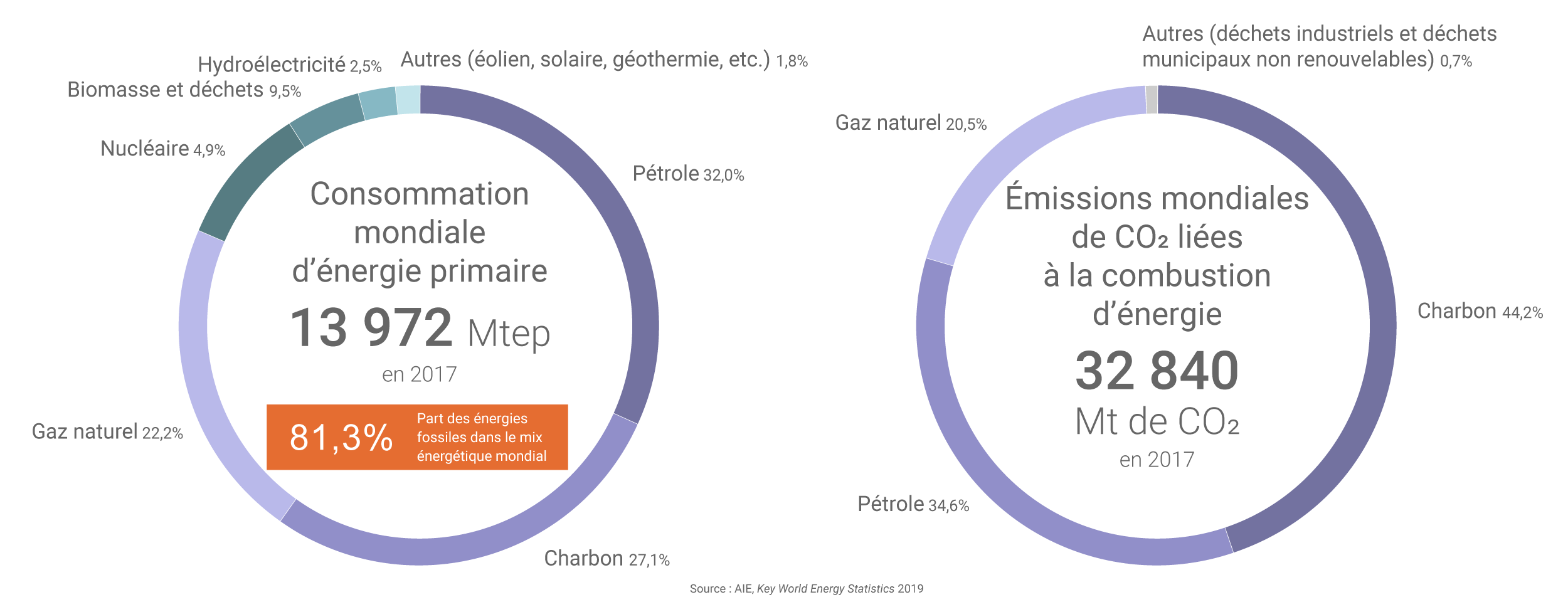 Consommation mondiale energie primaire 2017 zoom