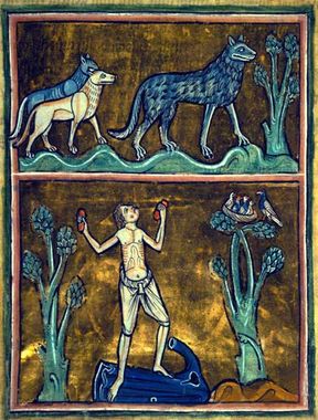 Loup homme