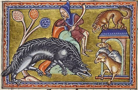 Loup brebis enluminure