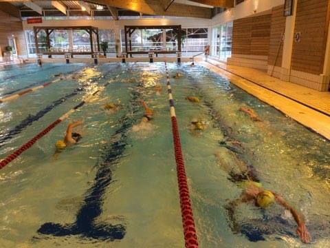 Natation 2