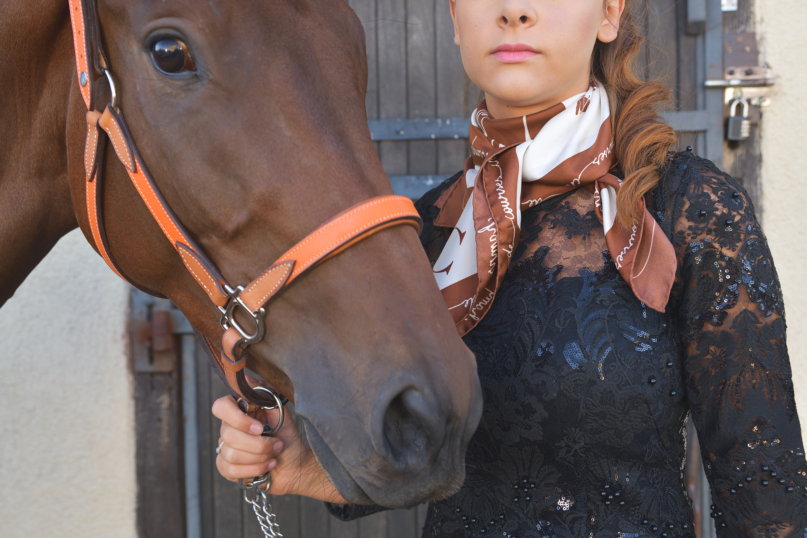 Dsc 6184 e