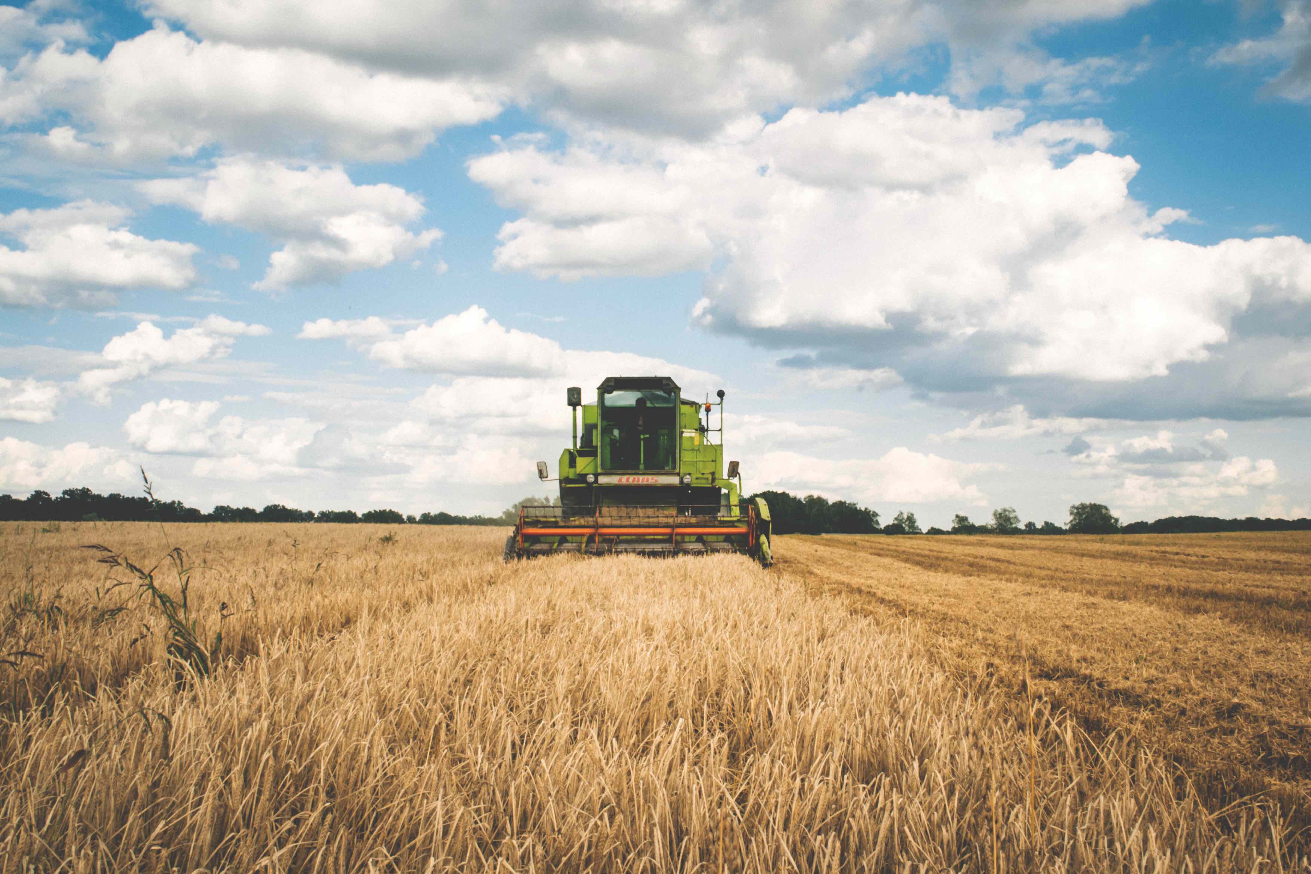 Traveaux-agricoles