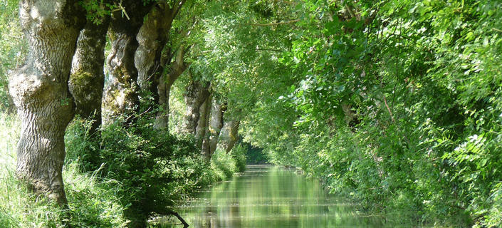 Marais poitevin
