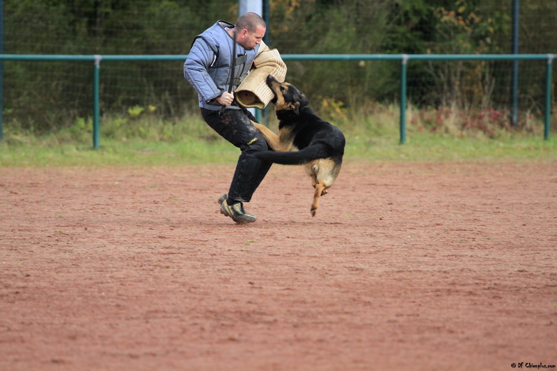 Championnat de lorraine rci 2010 083