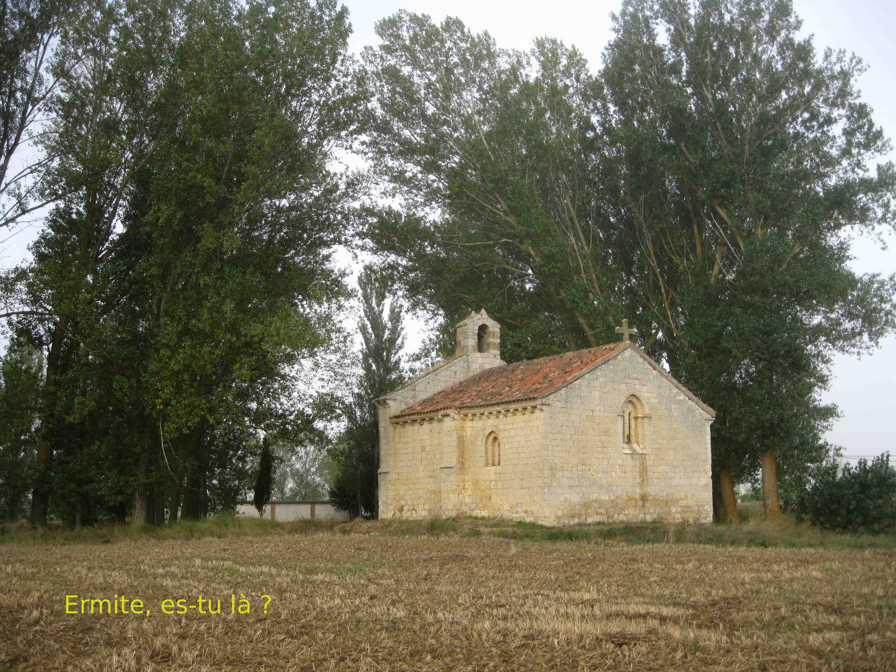Img 0894