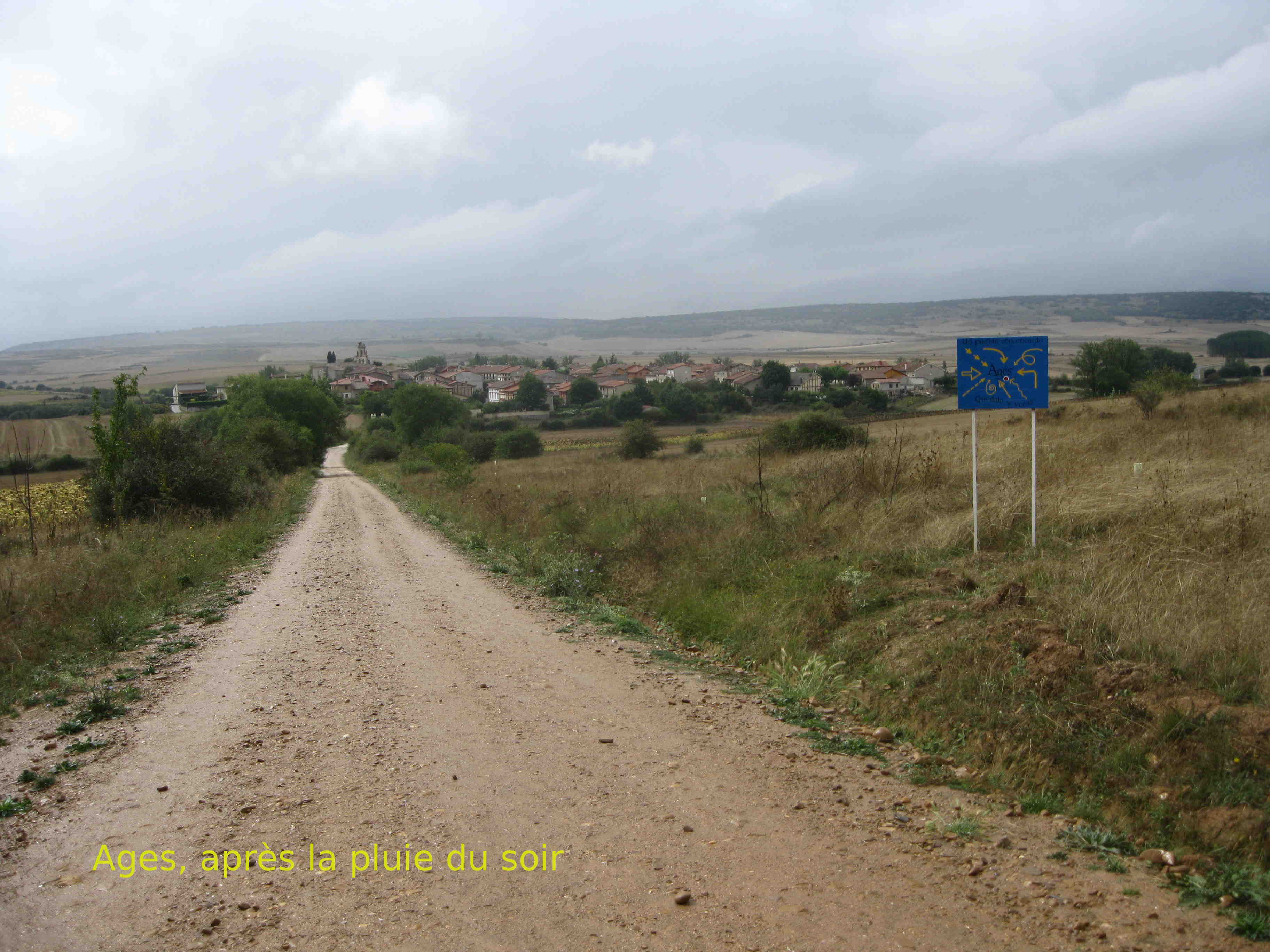 Img 0743