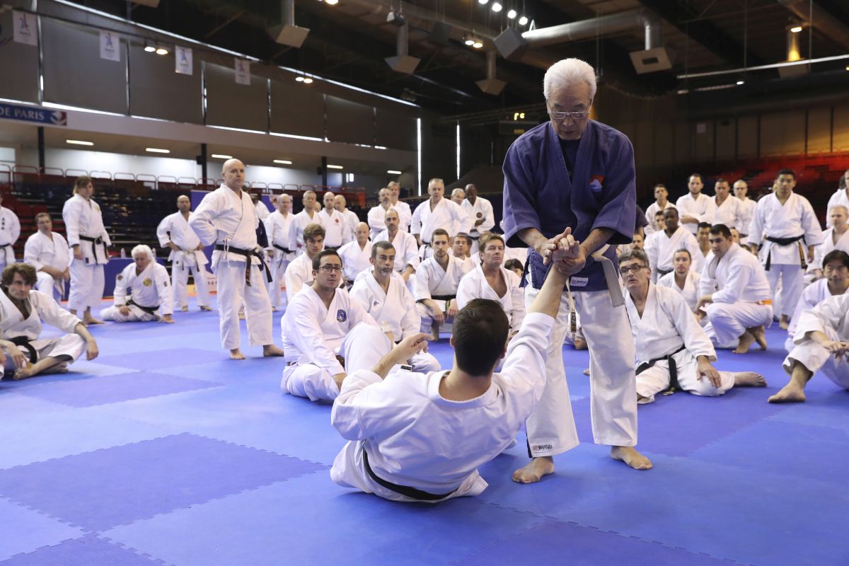 Stage national experts japonais 2018 008