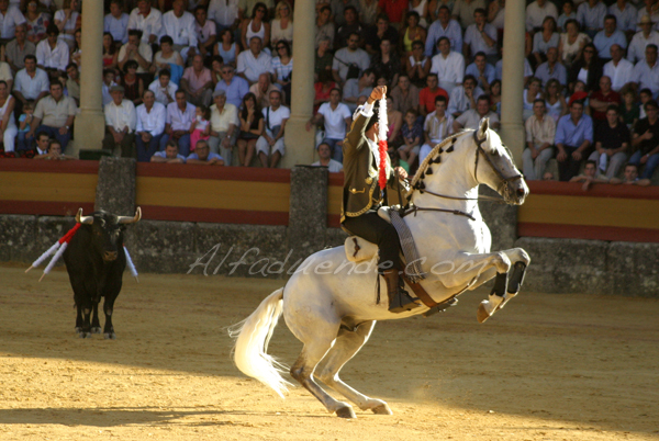 Copia de copia de copia de 2