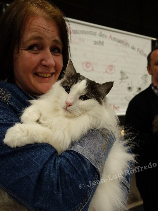 Dsc08710 namur 26fev2017 