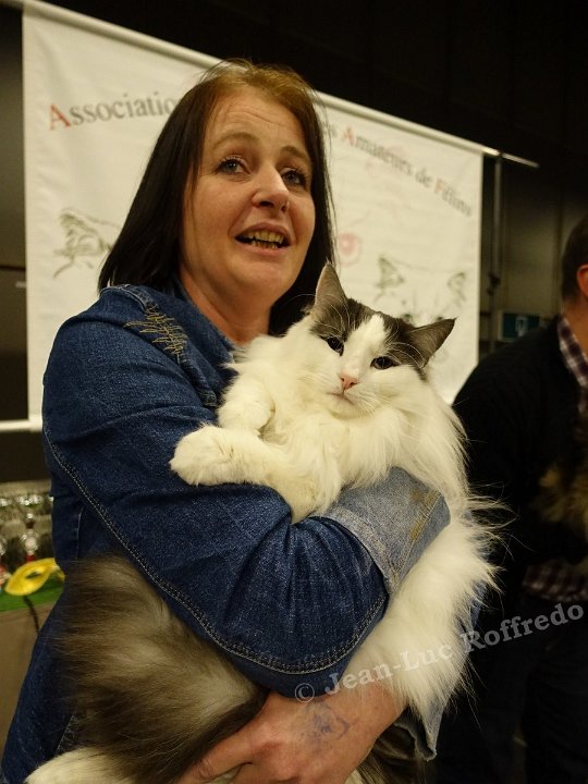 Dsc08715 namur 26fev2017 
