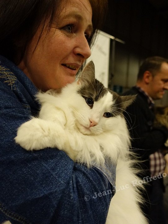 Dsc08727 namur 26fev2017 