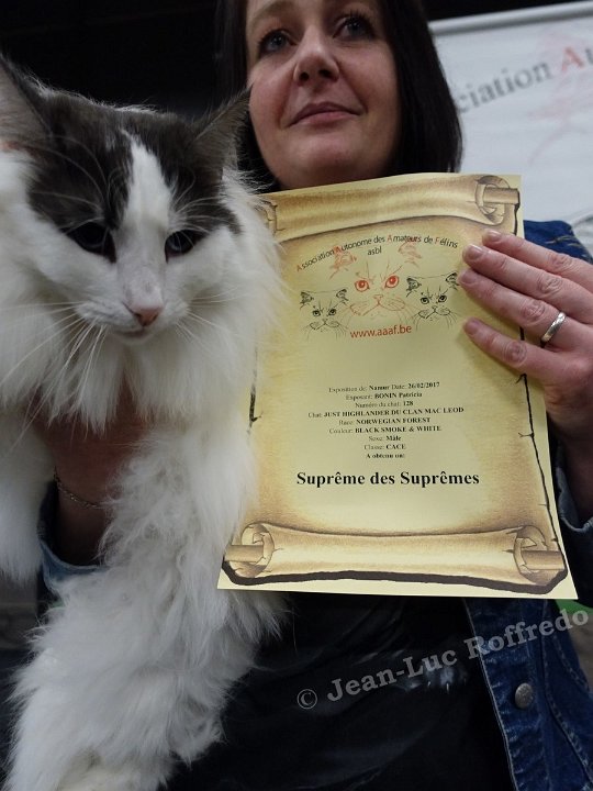 Dsc08738 namur 26fev2017 