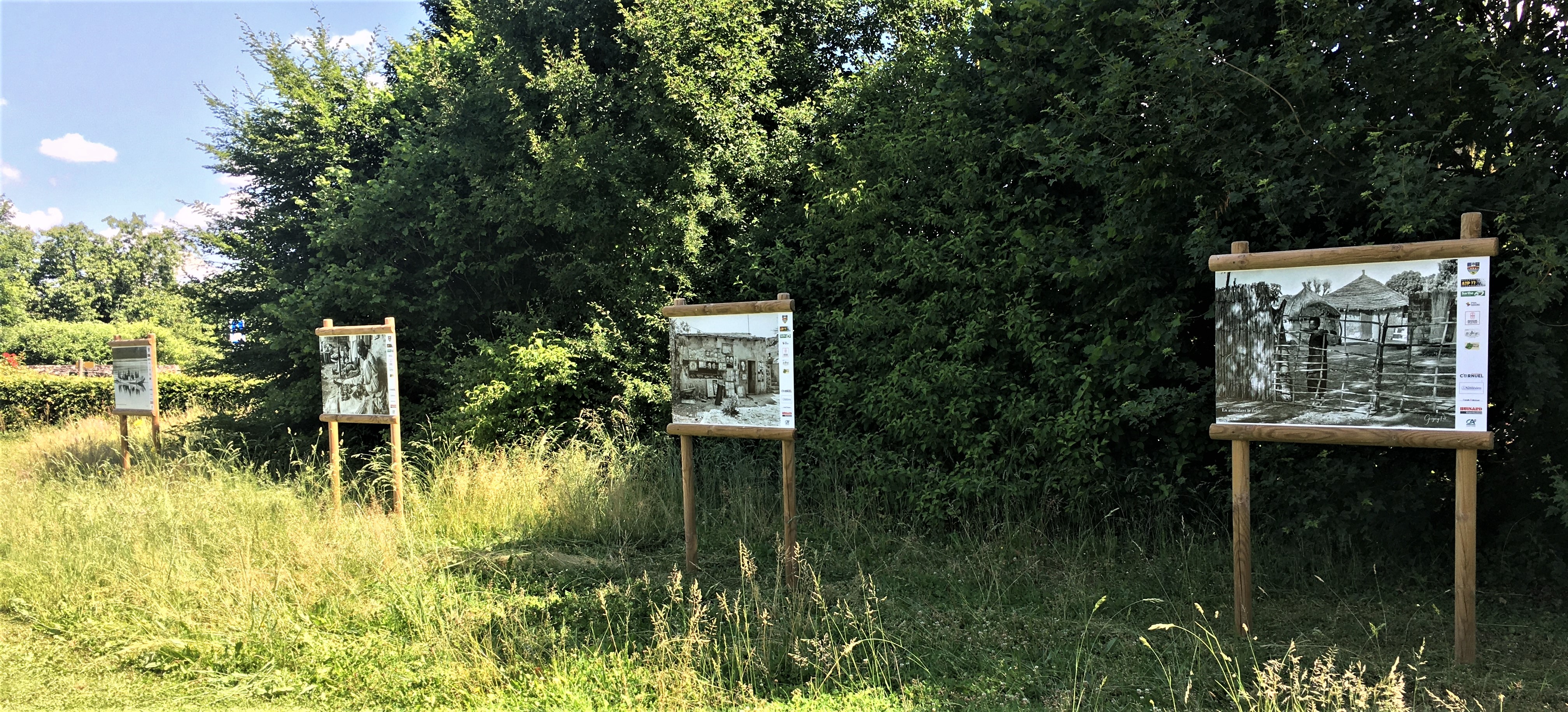 Img 7650