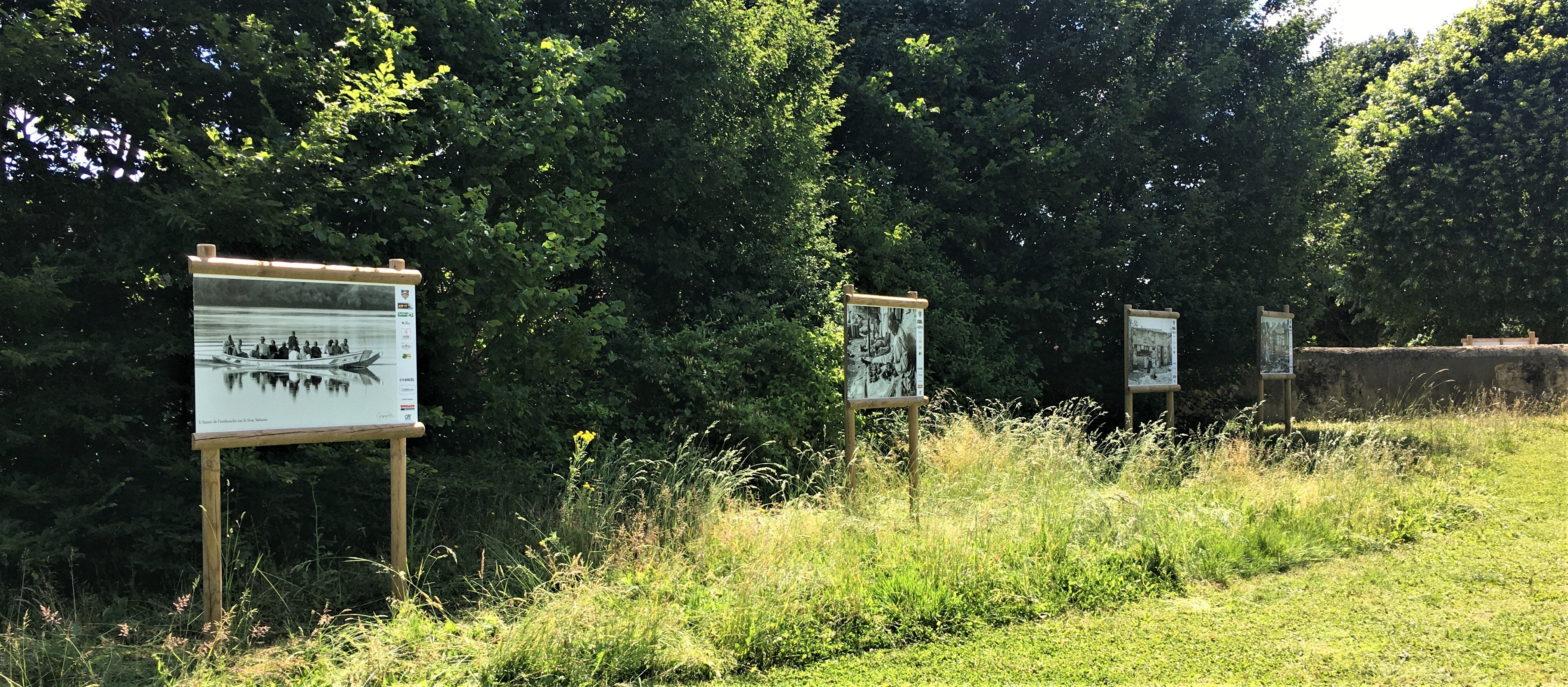 Img 7651