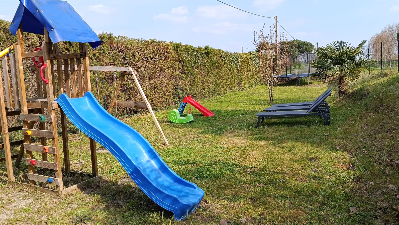 Whatsapp image 2026 03 24 at 15 07 14 2 