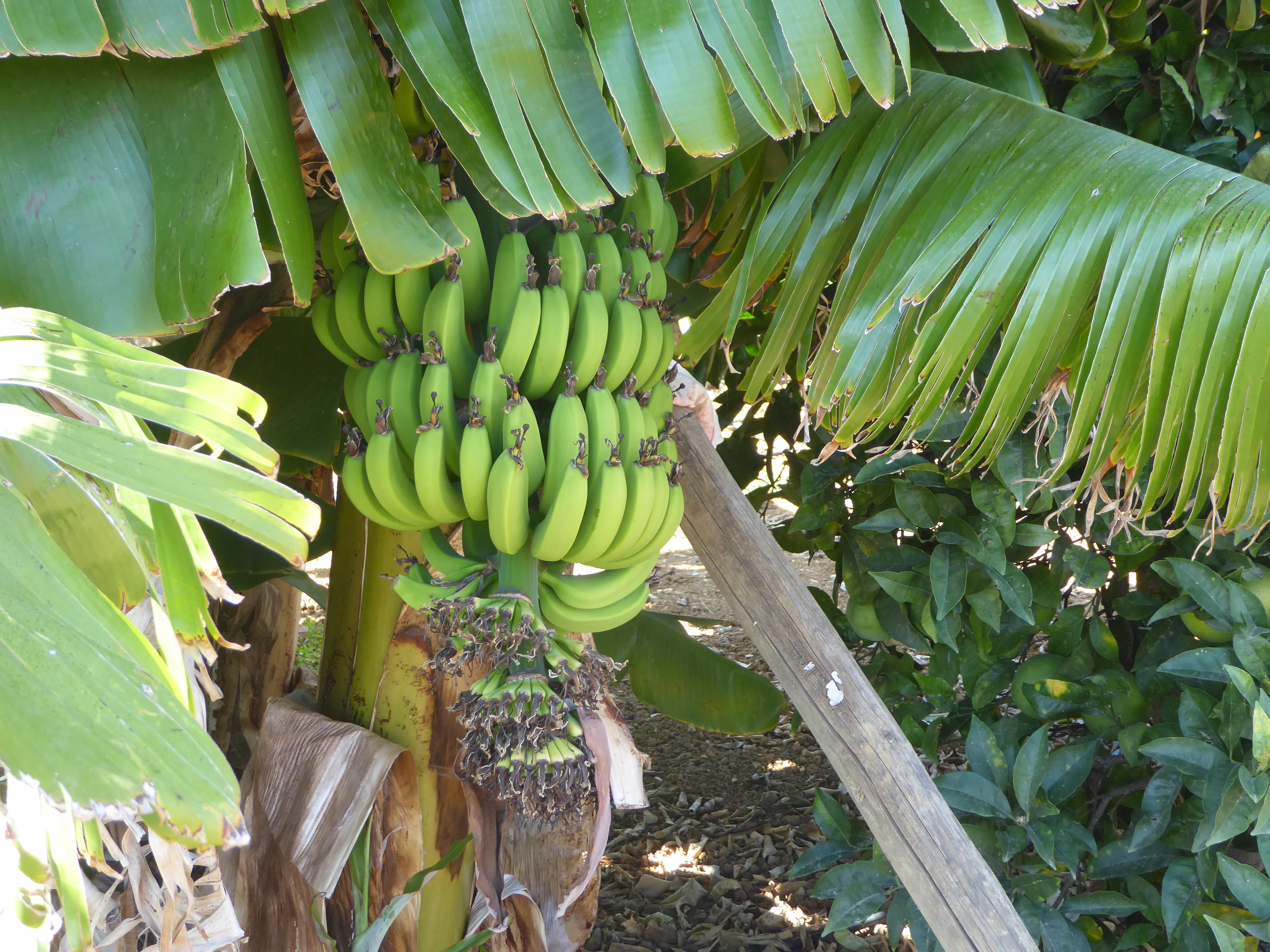 P1060855