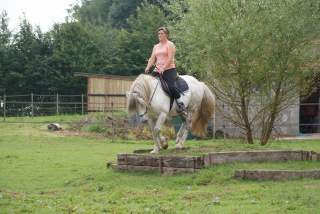 Dsc07686