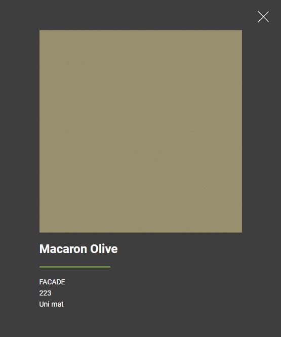 Macaron olive