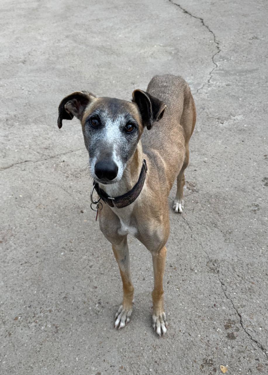 Whatsapp image 2026 04 12 at 18 51 49