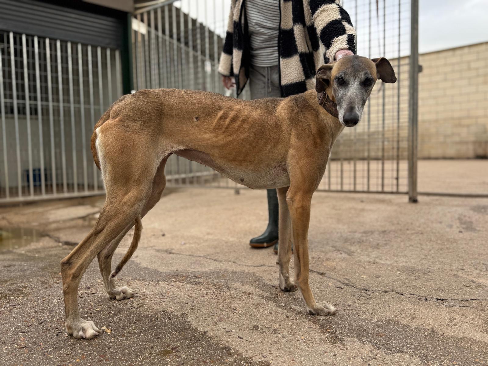 Whatsapp image 2026 04 12 at 18 51 49 2 