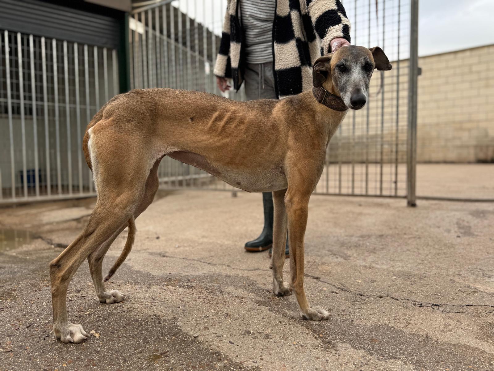 Whatsapp image 2026 04 12 at 18 51 48