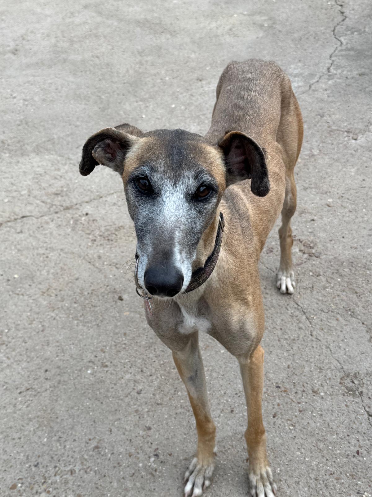 Whatsapp image 2026 04 12 at 18 51 48 5 