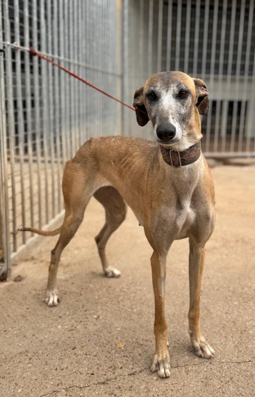 Whatsapp image 2026 04 12 at 18 51 48 4 