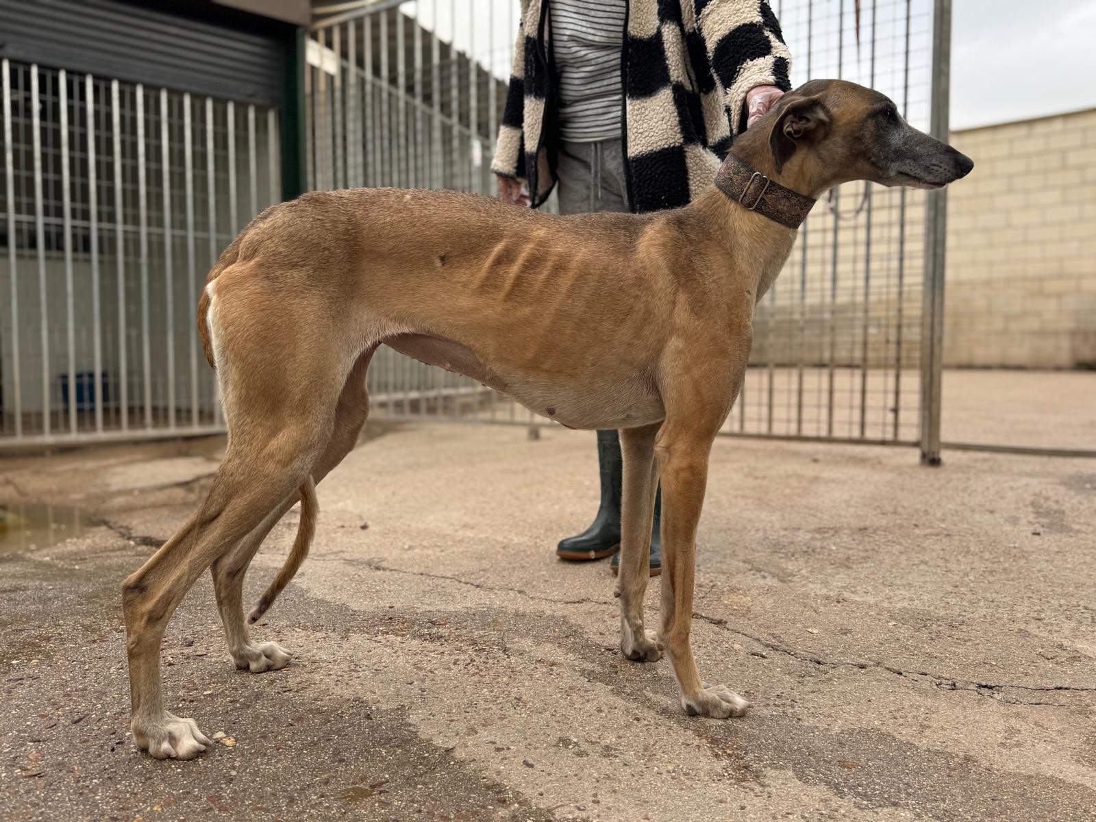 Whatsapp image 2026 04 12 at 18 51 48 1 