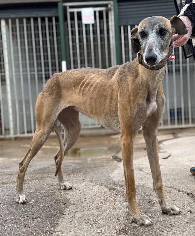 Whatsapp image 2026 04 12 at 18 51 47