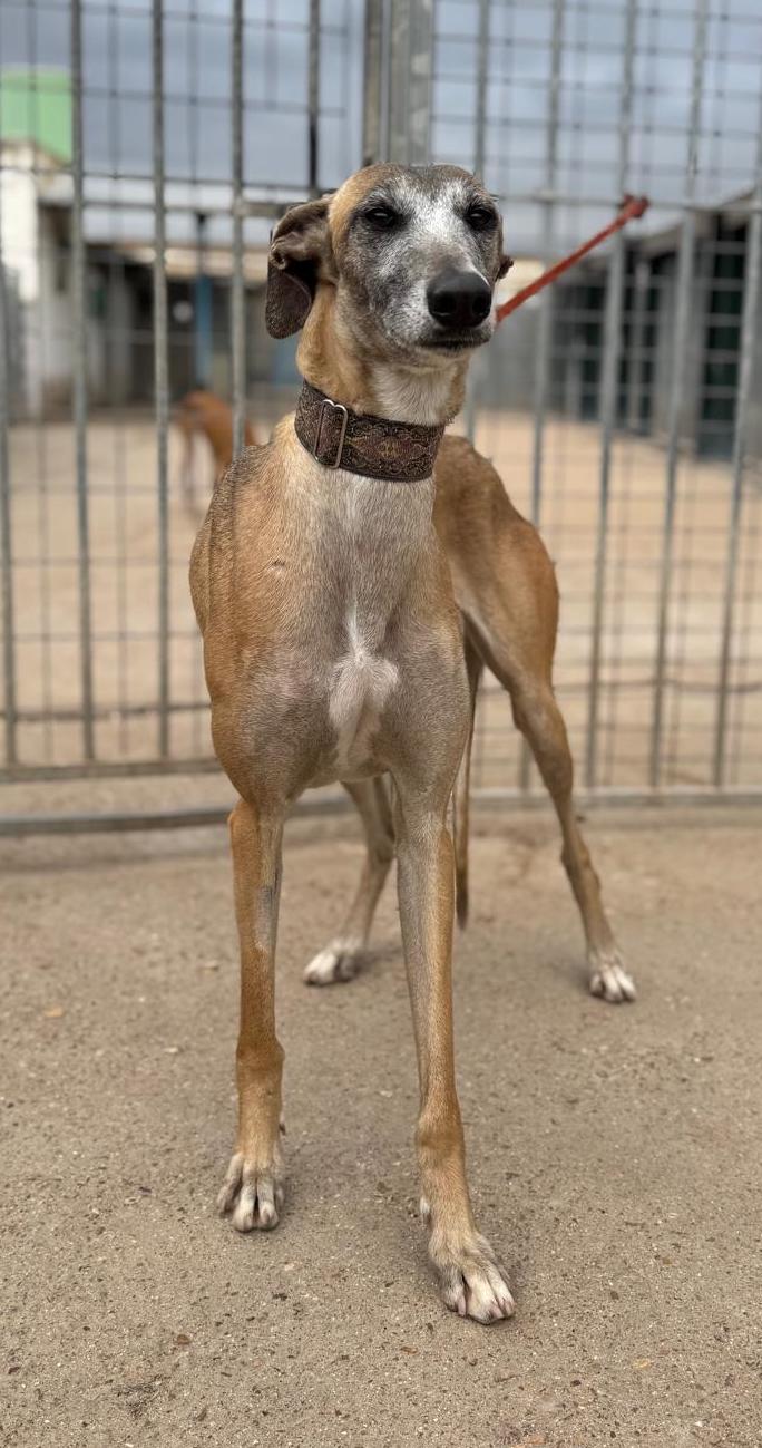 Whatsapp image 2026 04 12 at 18 51 47 2 