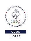 CDOS-Capture-d-ecran-2022-06-13-155858
