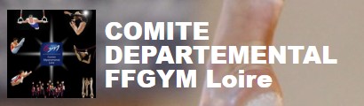 Ffgym-loireCapture-d-ecran-2022-06-13-155740