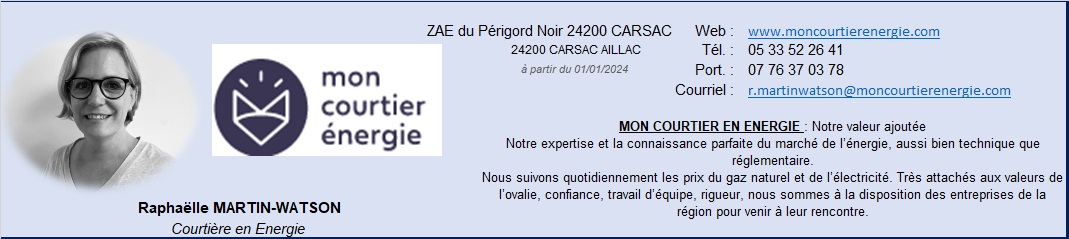 Mon courtier en energie dionisos
