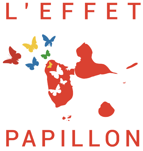 20210822132621 logo effet papillon 2 02 removebg preview