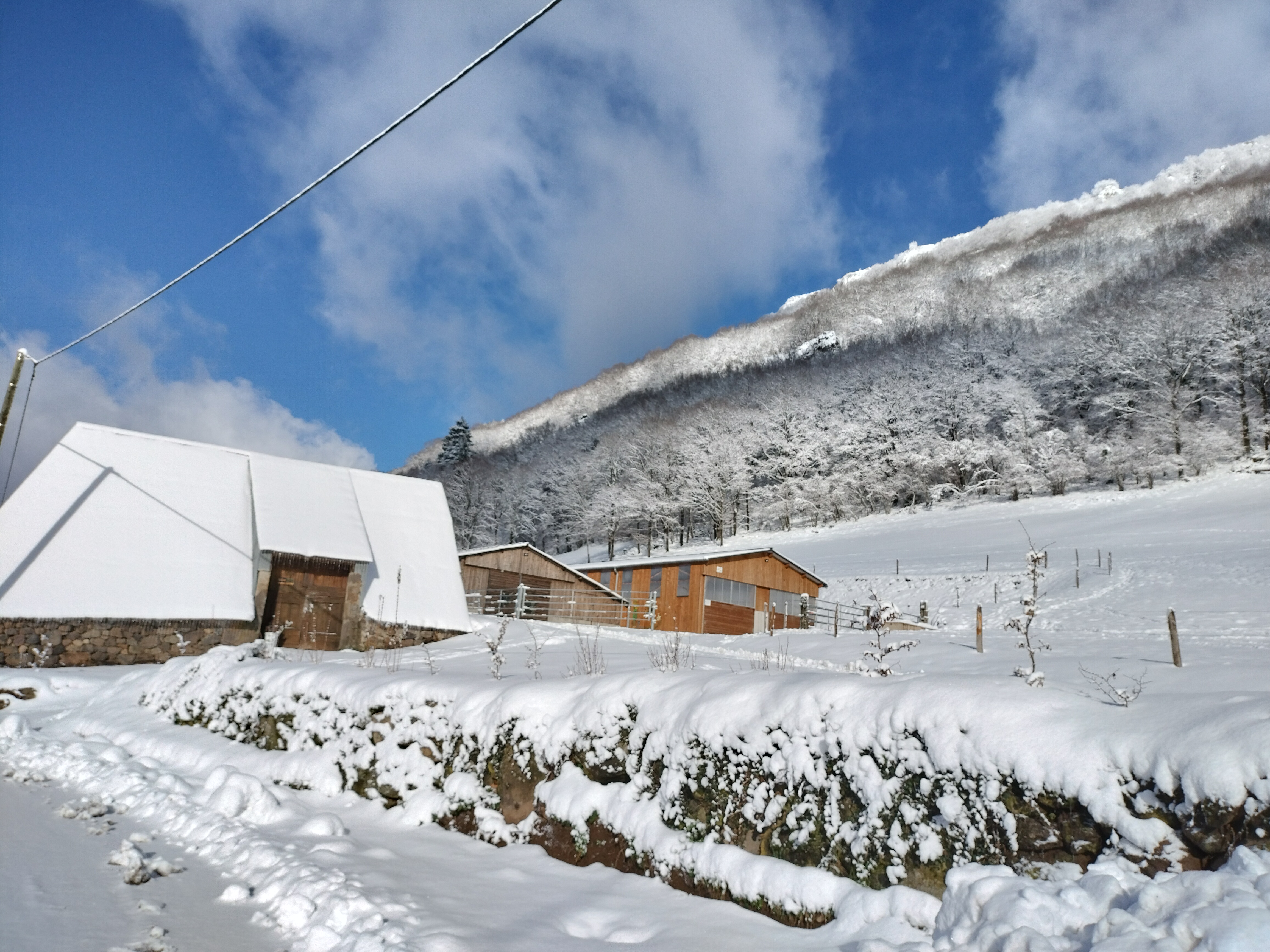Ferme familiale de la famille Mathieu dans la vallée du Mars dans le Cantal. Elevage bovins allaitant de race Salers et apiculture. Une agriculture respectueuse de l'environnement. 